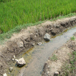 keep irrigation channel clean